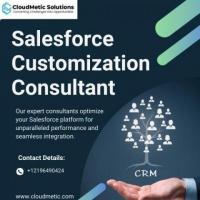 Salesforce Customization Consultant