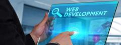 Need custom website development for your online business?