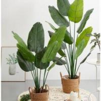 Buy artificial plants in Dubai