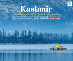 Enchanting Kashmir Honeymoon Package: Romantic Escapes with Tripoventure