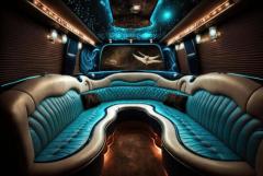 Party Bus Rental Services in Miami