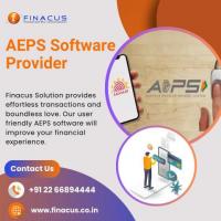 AEPS Software Provider