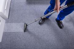 Carpet Cleaning Services in Redford, MI