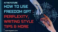 How To Use Freedom GPT | Perplexity, Writing Style Tips & More