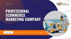 Professional Ecommerce Marketing Company