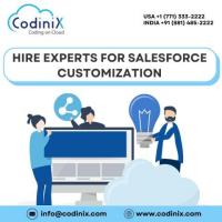 Hire Experts for Salesforce Customization - Codinix Technologies