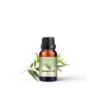 Eucalyptus Oil