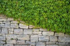 Fortify Your Landscape: Retaining Walls Built to Last