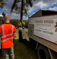 Tree Removal in Herne Bay