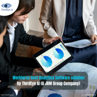 Workforce Cost Analytics Software Solution