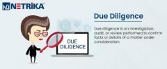  Due diligence agency - Netrika Consulting