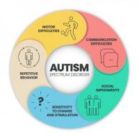 How can Autism treated through therapy?