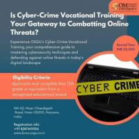 Is Cyber Crime Vocational Training Your Defense Against Digital Threats? 