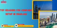 Arab Bussiness Consultancy-Top Reasons for Company Setup in Sharjah in 2024