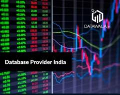 Database Provider