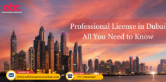 Professional License in Dubai: All You Need to Know