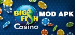 Big fish casino free chips