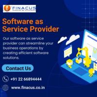 Software as Service Provider