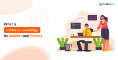 What is Software Consulting Services Work? – Its Benefits and Process