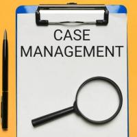  Scaling Your Business with Scalable Case Management Software