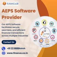 AEPS Software Provider