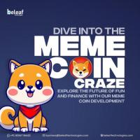 Meme coin development