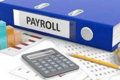 Payroll with Professional Services in Canada by TaxlinkCPA