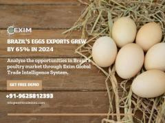 Brazil import export data | global import export data provider