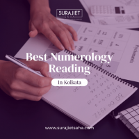 best numerologist in india