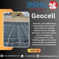 Geocell in Road Construction