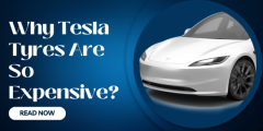 Why Tesla Tyres Are So Expensive?