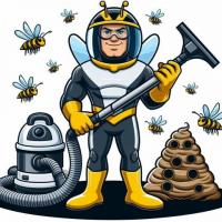 B.B.P.P. Wasp Removal Service King City - Contact & Book Free consultation with us