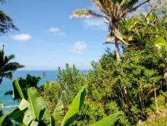 Land for Sale in San Pancho