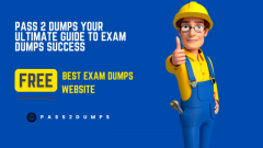 Pass 2 Dumps Exam Dumps Tailored to Your Needs
