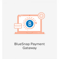 Magento 2 BlueSnap Payment Gateway