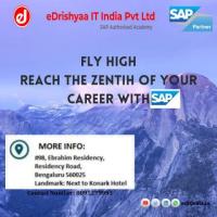 E- Drishya It India Pvt ltd From Sap Authorized Academy 