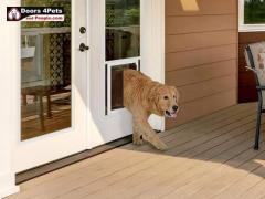 Dog Access Doors - Ideal for Pet-Friendly Homes