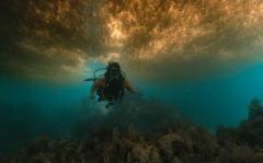 Puerto Morelos Diving