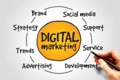 Expert Digital Marketing Company in Jaipur 