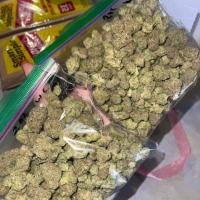 BUY High THC Weed Strains | Cannabis Seeds USA,LSD,SHROOMS,MDMA,CRYSTAL METH