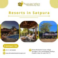 Resorts in Satpura