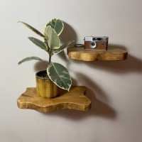 Durability Meets Design: Wooden Shelves from Woodensure