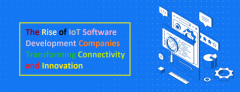 The Rise of IoT Software Development Companies Transforming Connectivity and Innovation