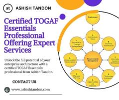 Certified TOGAF Essentials Professional Offering Expert Services