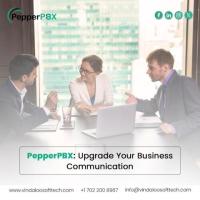 PepperPBX: Upgrade Your Business Communication