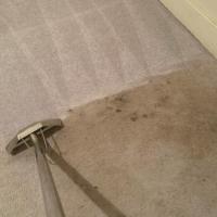 Affordable and Reliable Carpet Cleaning in Charlotte NC