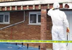 Expert Asbestos Garage Roof Removal Services by BlueA