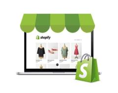 Boost Your E-commerce Business With Professional Shopify Development Company - Rio Digital Marketing