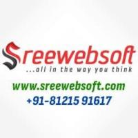Professional High-Quality Website Design | SREE WEB SOFT