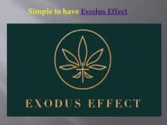 What is Exodus Effect?